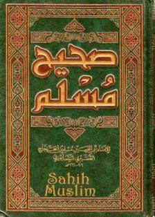 Historia de la Sunnah: Su registro (Parte 23)