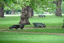 Five minutes in the green can improve mental health